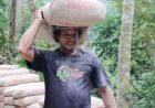 Pak Marno Pikul Semen Demi TMMD