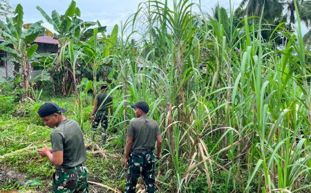 Prajurit Yonif TP 860/NSK Gotong Royong Bersihkan Lingkungan Madrasah Aliyah Ma’arif NU Waropen, Wujud Nyata Kepedulian TNI terhadap Dunia Pendidikan