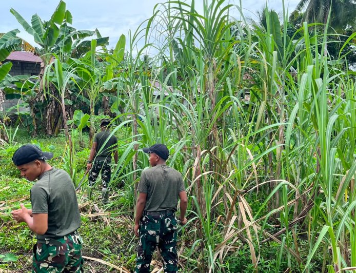 Prajurit Yonif TP 860/NSK Gotong Royong Bersihkan Lingkungan Madrasah Aliyah Ma’arif NU Waropen, Wujud Nyata Kepedulian TNI terhadap Dunia Pendidikan