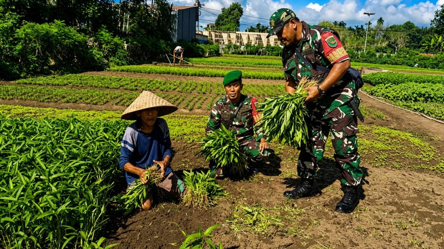 Babinsa Sentani Turun ke Lahan Perkuat Ketahanan Pangan Lewat Pendampingan Petani Sayur