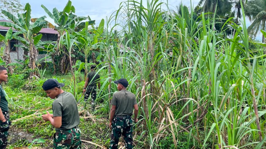 Prajurit Yonif TP 860/NSK Gotong Royong Bersihkan Lingkungan Madrasah Aliyah Ma’arif NU Waropen, Wujud Nyata Kepedulian TNI terhadap Dunia Pendidikan