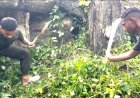 Sinergi TNI dan Rakyat: Yonif TP 809/NTM Bersama Warga Desa Sewan Gelar Karya Bakti Pembersihan Saluran Air