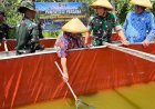 Panen Raya Padi dan Ikan Lele Yonif TP 860/NSK, Wujud Nyata Dukung Ketahanan Pangan di Waropen