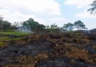 Babinsa dan Warga Bergerak Cepat Padamkan Kebakaran Lahan di Marga Mulya