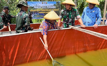 Panen Raya Padi dan Ikan Lele Yonif TP 860/NSK, Wujud Nyata Dukung Ketahanan Pangan di Waropen