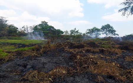 Babinsa dan Warga Bergerak Cepat Padamkan Kebakaran Lahan di Marga Mulya