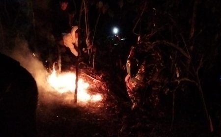 Kebakaran Lahan Pinus Perhutani di Desa Panerusan Wetan Luas Sekitar 1 Hektare