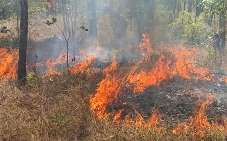Babinsa Koramil Sota Sigap Padamkan Kebakaran, Cegah Api Meluas ke Kawasan Hutan