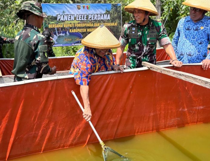 Panen Raya Padi dan Ikan Lele Yonif TP 860/NSK, Wujud Nyata Dukung Ketahanan Pangan di Waropen