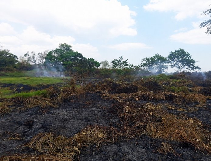 Babinsa dan Warga Bergerak Cepat Padamkan Kebakaran Lahan di Marga Mulya