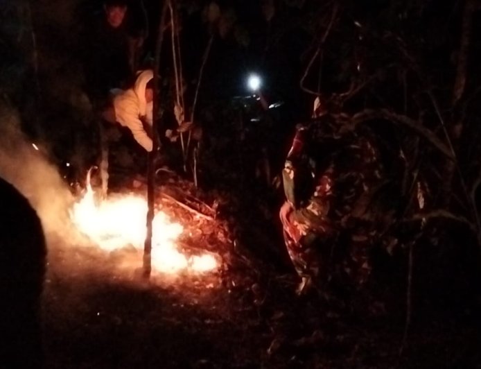 Kebakaran Lahan Pinus Perhutani di Desa Panerusan Wetan Luas Sekitar 1 Hektare