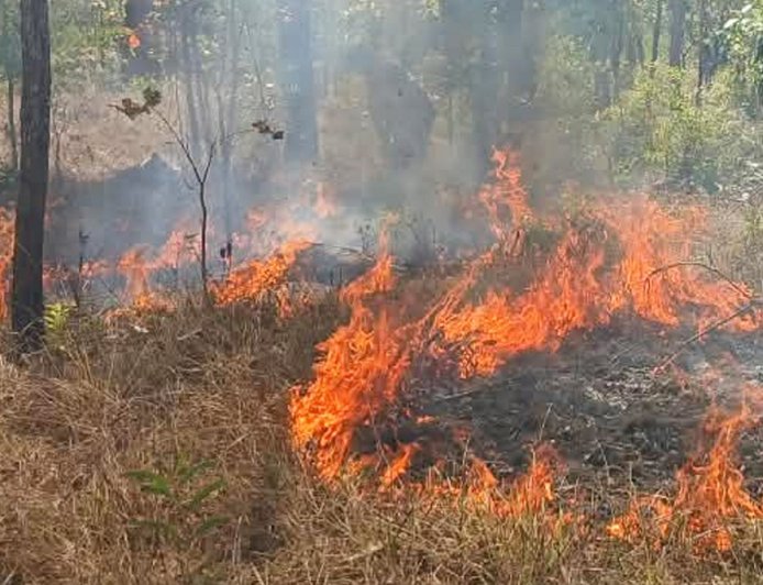 Babinsa Koramil Sota Sigap Padamkan Kebakaran, Cegah Api Meluas ke Kawasan Hutan