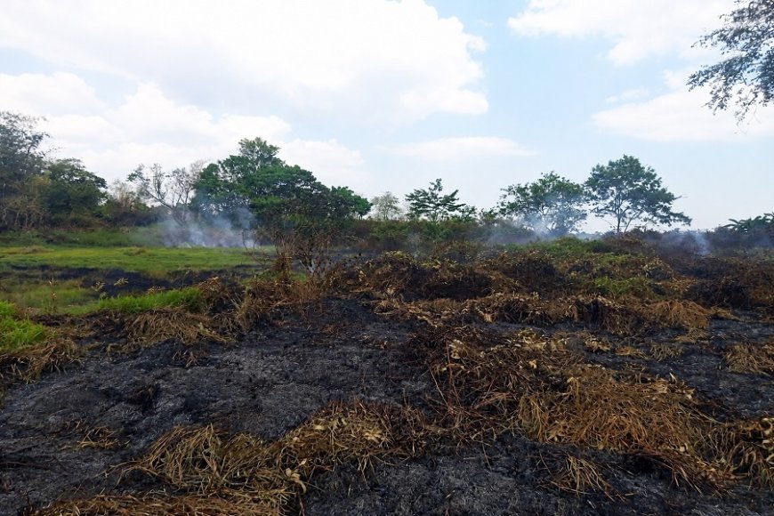Babinsa dan Warga Bergerak Cepat Padamkan Kebakaran Lahan di Marga Mulya