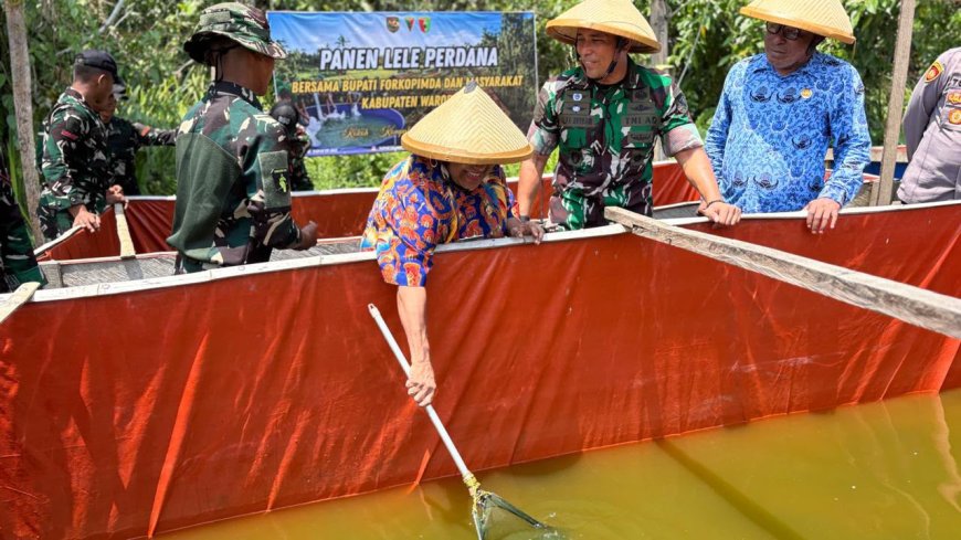 Panen Raya Padi dan Ikan Lele Yonif TP 860/NSK, Wujud Nyata Dukung Ketahanan Pangan di Waropen