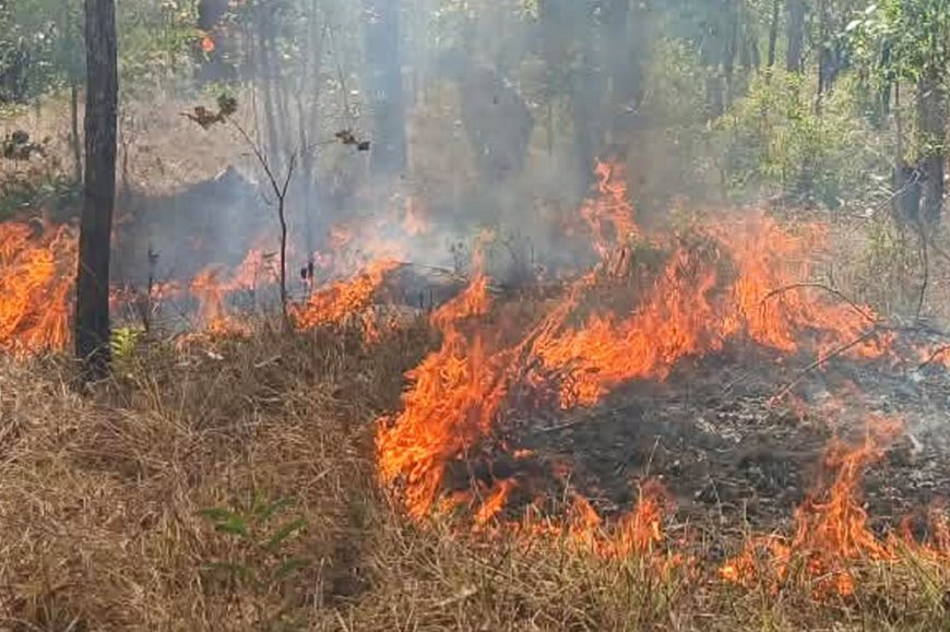 Babinsa Koramil Sota Sigap Padamkan Kebakaran, Cegah Api Meluas ke Kawasan Hutan