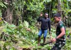 Wujud Kepedulian kepada Masyarakat, Yonif TP 809/NTM Laksanakan Karya Bakti di Pasar Kampung Kasukwe