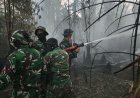 Danyonif TP 804/DBAY Terjun Langsung ke TKP, Pimpin Pasukan Padamkan Karhutla di Wilayah Nabire