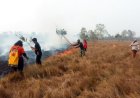 Kompak Padamkan Kebakaran, Babinsa Harapan Makmur, BPBD dan Warga Selamatkan Lingkungan Dari Amukan Api