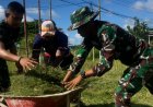 Yonif TP 809/NTM Gelar Karya Bakti Bersama Masyarakat di Sarana Olahraga Kampung Kasukwe