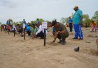 Tanam 1.000 Mangrove di Pantai Payum, Pangdam XXIV/MT: Rawat Alam, Jaga Masa Depan Papua Selatan