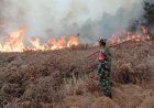 Kebakaran Semak Belukar di Lahan Perhutani Diengkulon TNI-Polri dan Warga Bergerak Padamkan Api