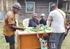 Masyarakat Adat Gollomi Bangun Ketahanan Pangan Berbasis Lumbung Desa Dari Lahan Sendiri
