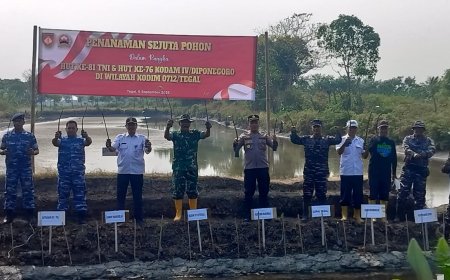 Dalam Rangka HUT RI, HUT TNI dan HUT Kodam, Kodim 0712/Tegal Tanam 1.000 Mangrove di Pesisir Warureja