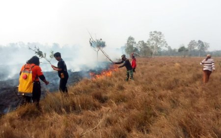 Kompak Padamkan Kebakaran, Babinsa Harapan Makmur, BPBD dan Warga Selamatkan Lingkungan Dari Amukan Api