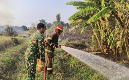 Koramil 21/Tegal Selatan Bersama Tim Padamkan Karhutla di Bandung, Dua Hektare Lahan Berhasil Diamankan