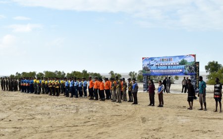 TNI Bersama Rakyat Tanam 1.000 Mangrove, Jaga Pesisir Pantai Payum Merauke Agar Tetap Lestari
