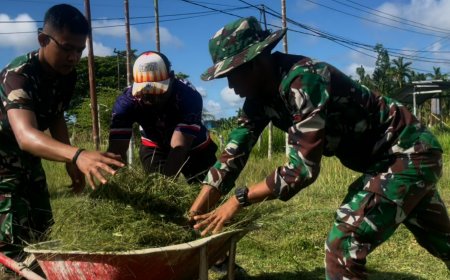 Yonif TP 809/NTM Gelar Karya Bakti Bersama Masyarakat di Sarana Olahraga Kampung Kasukwe