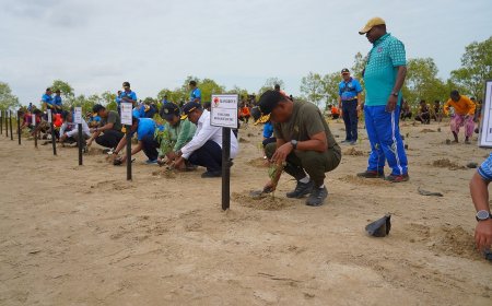 Tanam 1.000 Mangrove di Pantai Payum, Pangdam XXIV/MT: Rawat Alam, Jaga Masa Depan Papua Selatan