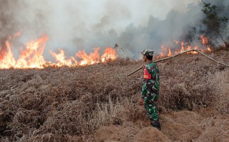 Kebakaran Semak Belukar di Lahan Perhutani Diengkulon TNI-Polri dan Warga Bergerak Padamkan Api