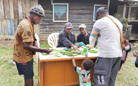 Masyarakat Adat Gollomi Bangun Ketahanan Pangan Berbasis Lumbung Desa Dari Lahan Sendiri