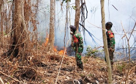 Babinsa Kimaam Respon Cepat, Padamkan Kebakaran Lahan Sebelum Meluas ke Permukiman Warga Kampung Kiworo