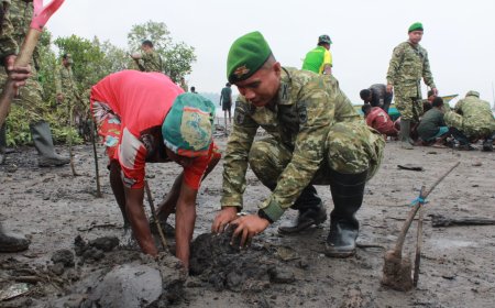 Semangat Gotong Royong, Yonif TP 820/DAAI dan Masyarakat Tanam Mangrove