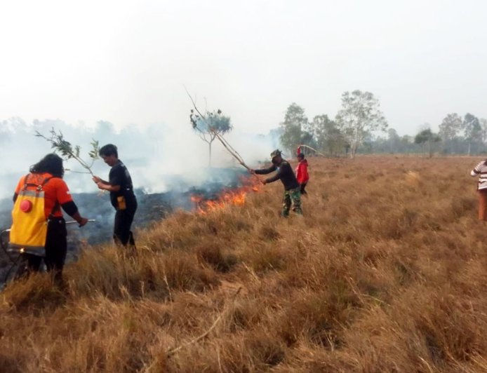 Kompak Padamkan Kebakaran, Babinsa Harapan Makmur, BPBD dan Warga Selamatkan Lingkungan Dari Amukan Api