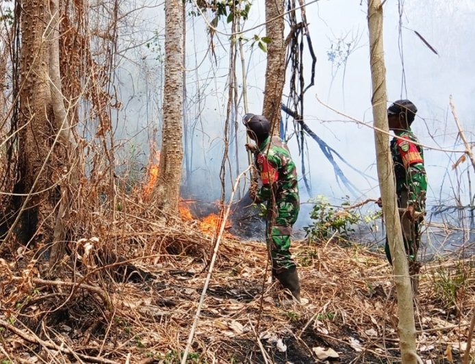 Babinsa Kimaam Respon Cepat, Padamkan Kebakaran Lahan Sebelum Meluas ke Permukiman Warga Kampung Kiworo