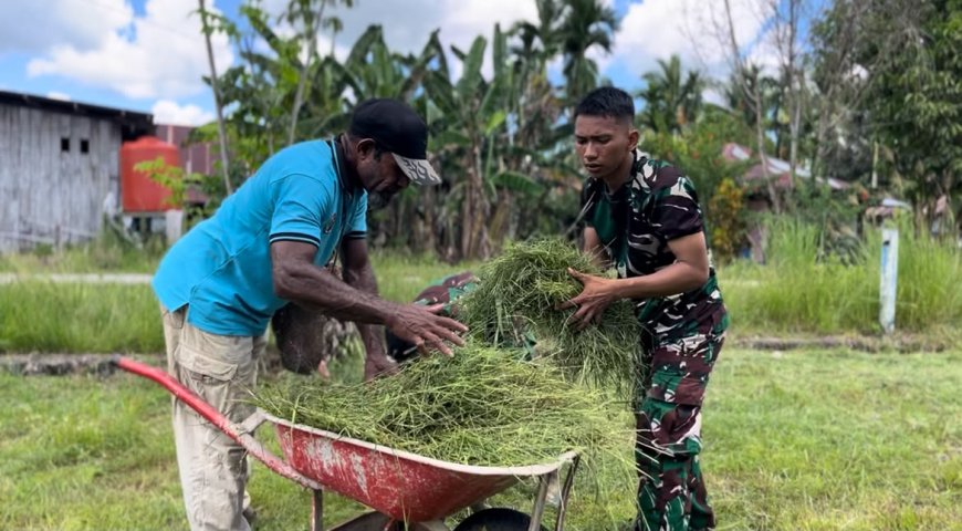 Kemanunggalan TNI dan Rakyat, Prajurit Yonif TP 809/NTM Bersama Warga Gotong Royong Bersihkan Balai Desa Kasukwe