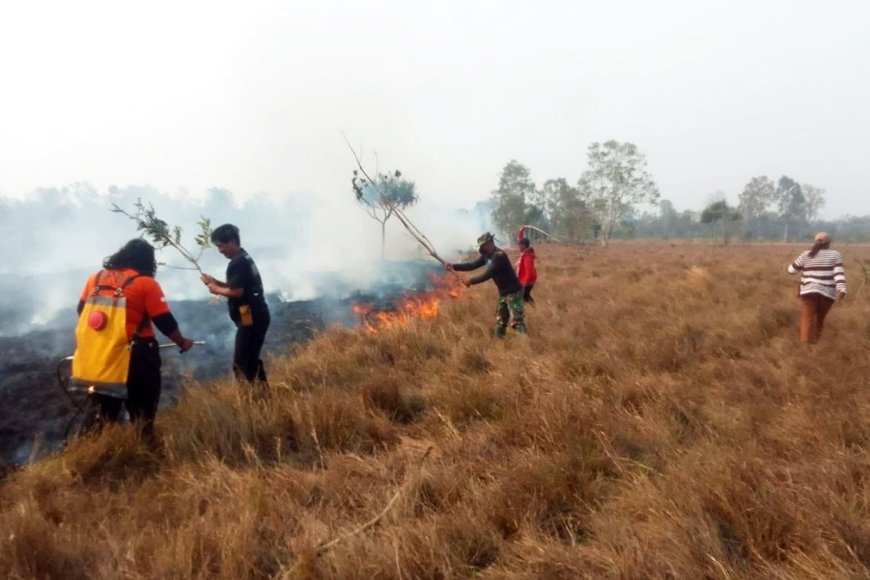 Kompak Padamkan Kebakaran, Babinsa Harapan Makmur, BPBD dan Warga Selamatkan Lingkungan Dari Amukan Api