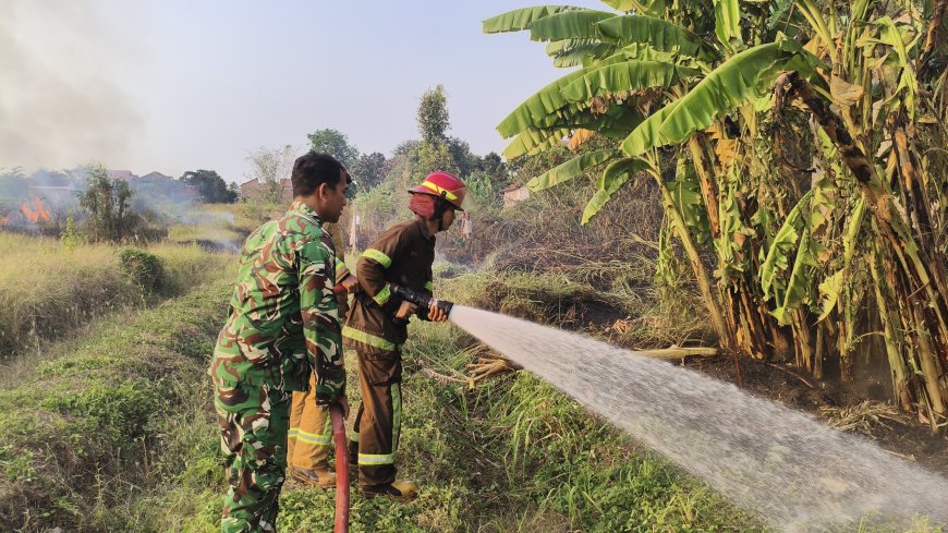 Koramil 21/Tegal Selatan Bersama Tim Padamkan Karhutla di Bandung, Dua Hektare Lahan Berhasil Diamankan