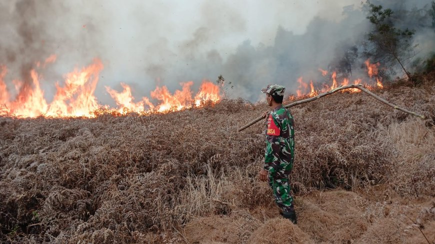 Kebakaran Semak Belukar di Lahan Perhutani Diengkulon TNI-Polri dan Warga Bergerak Padamkan Api