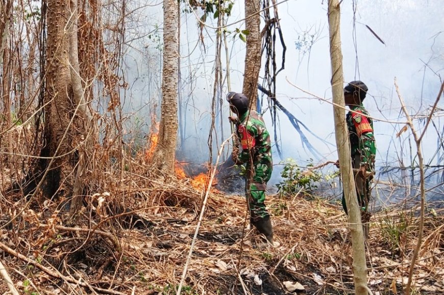 Babinsa Kimaam Respon Cepat, Padamkan Kebakaran Lahan Sebelum Meluas ke Permukiman Warga Kampung Kiworo