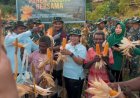 Yonif TP 809/NTM dan Bupati Sarmi Gelar Panen Raya Jagung Bersama Masyarakat