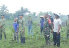 Tanam 150 Pohon Matoa, Yonif TP 860/NSK dan Warga Baino Jaya Sambut HUT ke-81 TNI