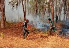 Babinsa Bergerak Cepat, Padamkan Kebakaran Lahan Karet di Muting Merauke