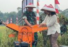 Panen Raya Padi Bukti Komitmen Yonif TP 820/DAAI Dukung Ketahanan Pangan