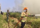 Babinsa Koramil 21/Tegal Selatan Bersama Tim Gabungan Padamkan Kebakaran Lahan Seluas 3 Hektare di Kelurahan Kalinyamat Wetan