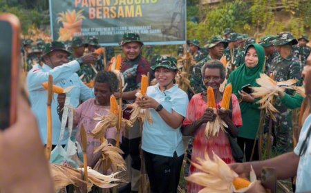 Yonif TP 809/NTM dan Bupati Sarmi Gelar Panen Raya Jagung Bersama Masyarakat