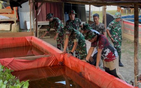 Yonif TP 809/NTM Bersama Bupati dan DPRK Sarmi Panen Lele, Bagikan Hasilnya kepada Masyarakat
